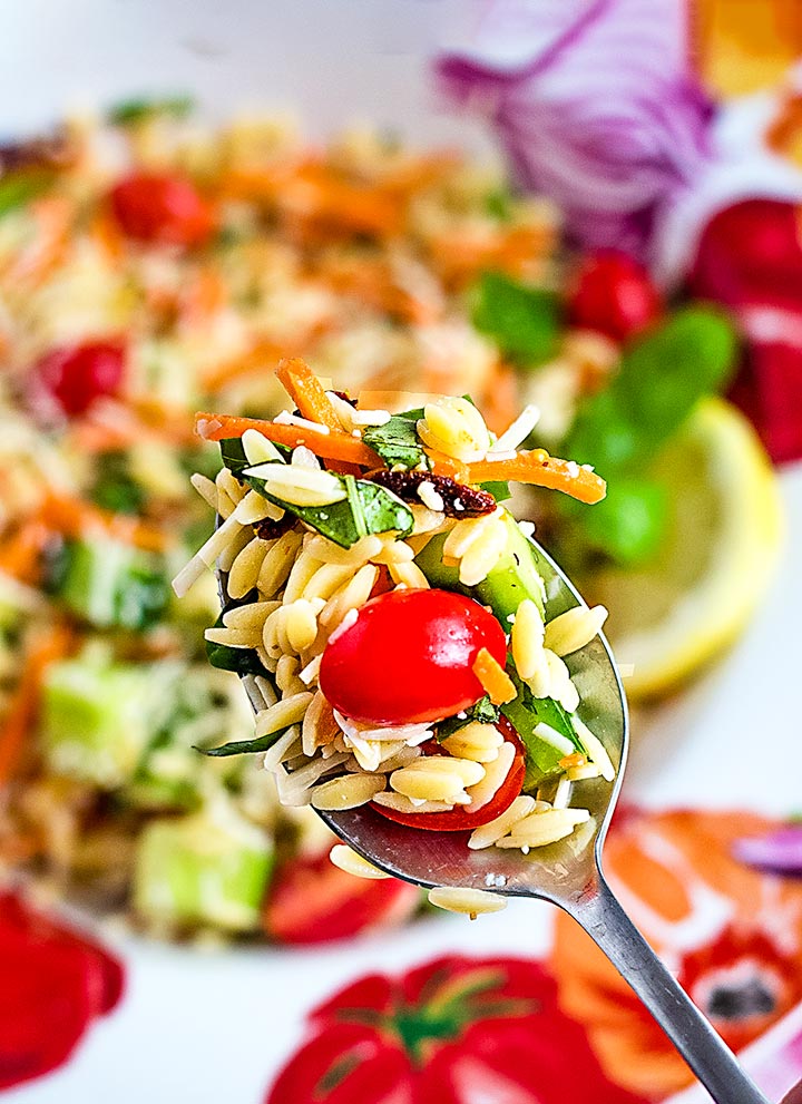 Orzo Salad with Summer Vegetables + 14 Pasta Salads
